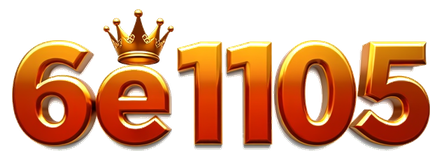 6e1105